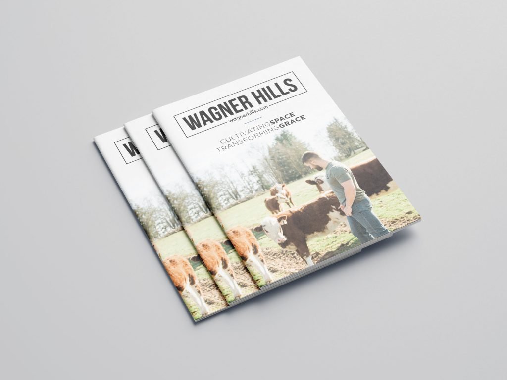 Print Advertising Design For Non Profits and Fundraising