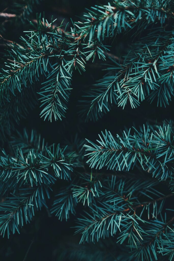 Maximize year-end giving with proven strategies for nonprofits. Learn how to connect with supporters, share impact stories, and boost donations during this critical season!