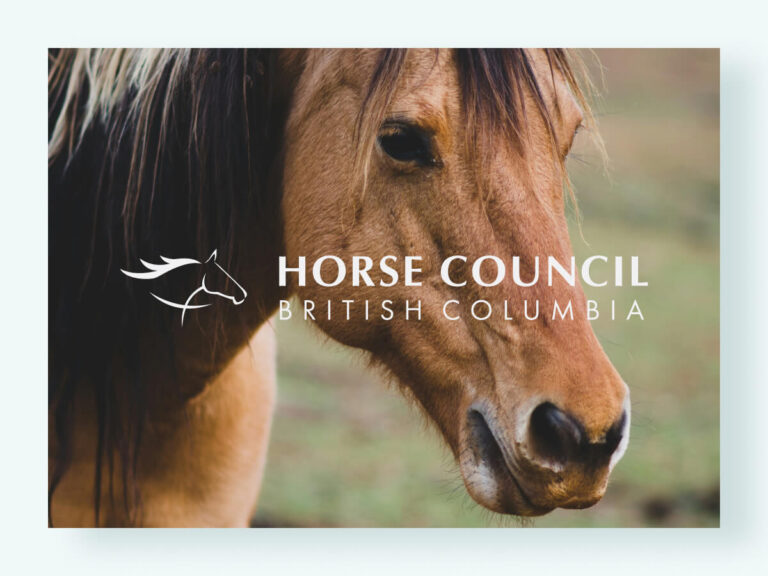 Horse Council Brand