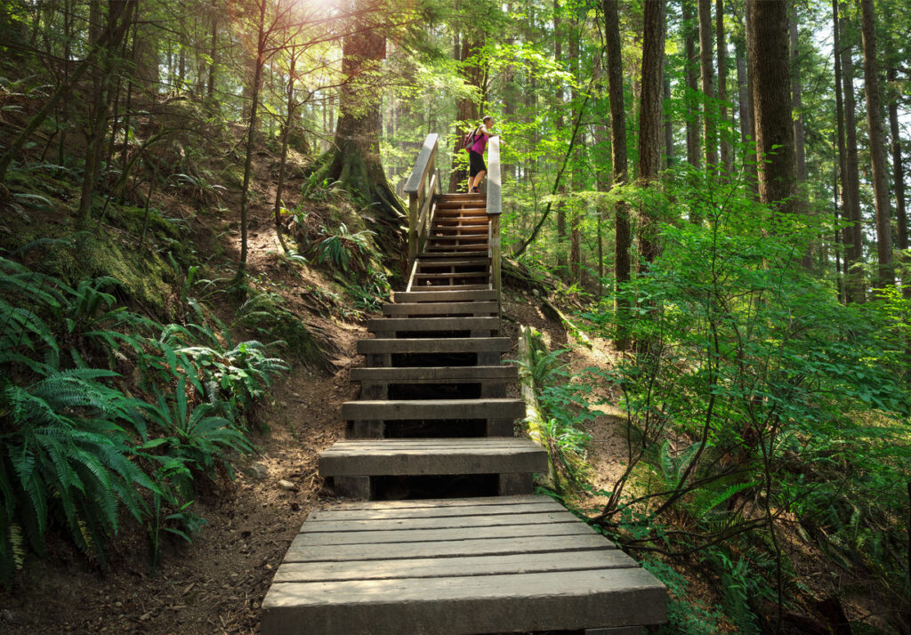 Woman in the woods surrounded by green trees as she is going up the stairs