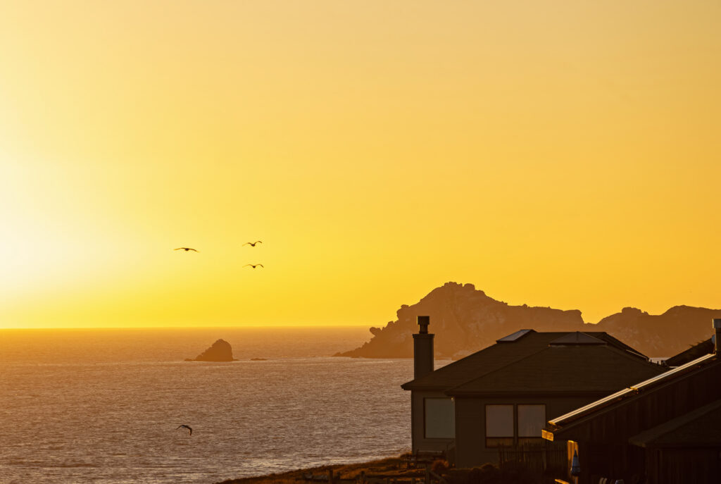 Beautiful sunset over the ocean with silhouettes of birds flying near coastal cliffs